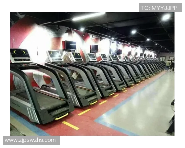 亿迈健身器材的质量与性能评测适合哪些健身需求和人群